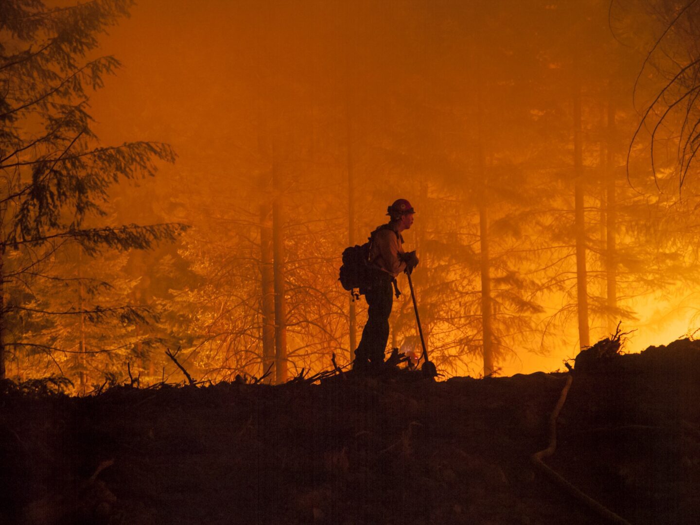 Firefighter battling forest wildfire at night