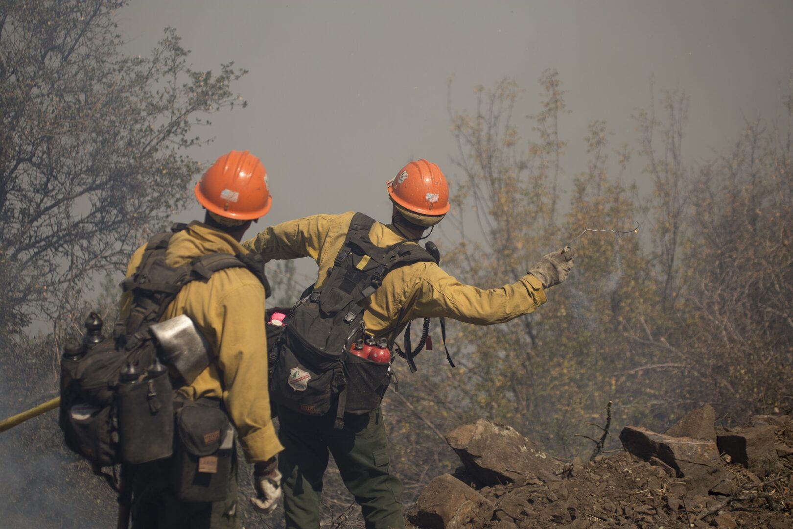 Firefighters in action during wildfire
